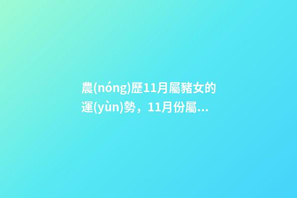 農(nóng)歷11月屬豬女的運(yùn)勢，11月份屬豬的財(cái)運(yùn)如何 生肖豬女的一生命運(yùn)-第1張-觀點(diǎn)-玄機(jī)派